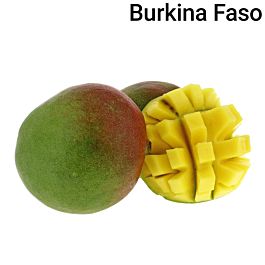 Mangue Piece Cal 9 Bio